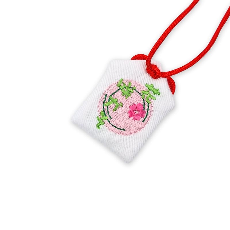 Amuleto Omamori Passaggio dell'esame