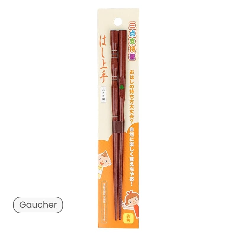 Bacchette giapponesi per principianti