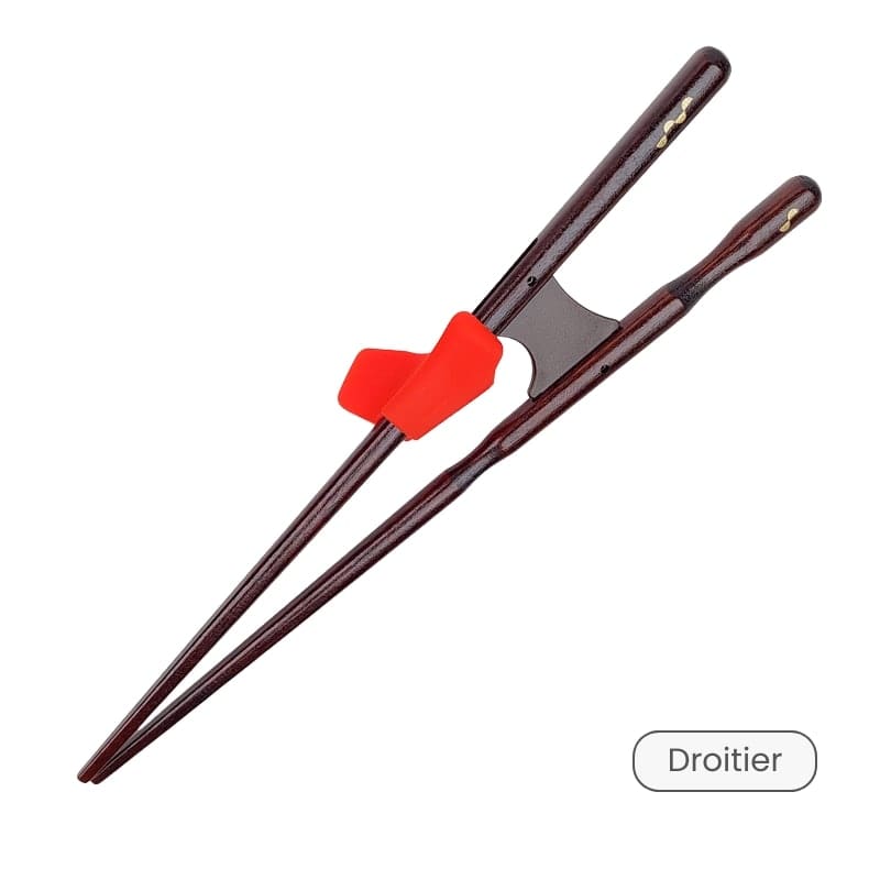 Bacchette giapponesi per adulti