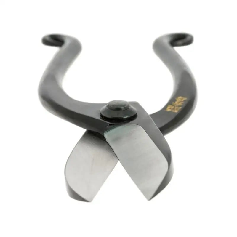 Forbici giapponesi Ikenobo per Ikebana