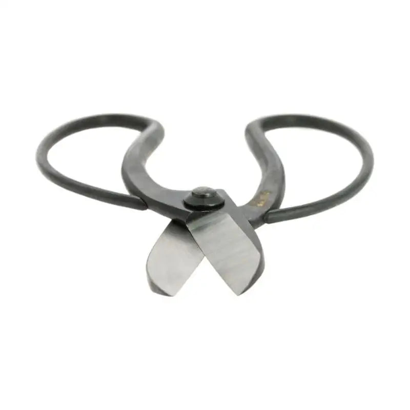 Forbici giapponesi Koryu per Ikebana