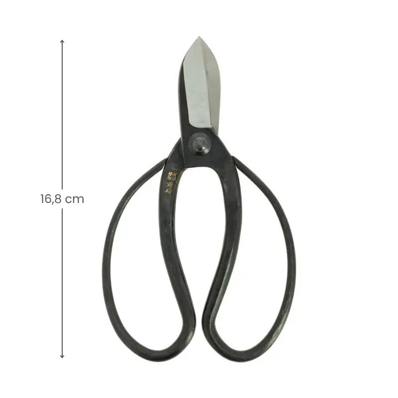 Forbici giapponesi Koryu per Ikebana