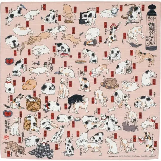 Gatti giapponesi Furoshiki