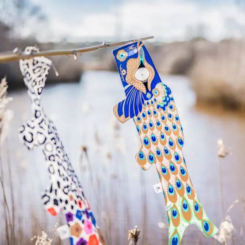 Koinobori motivo pavone (S)