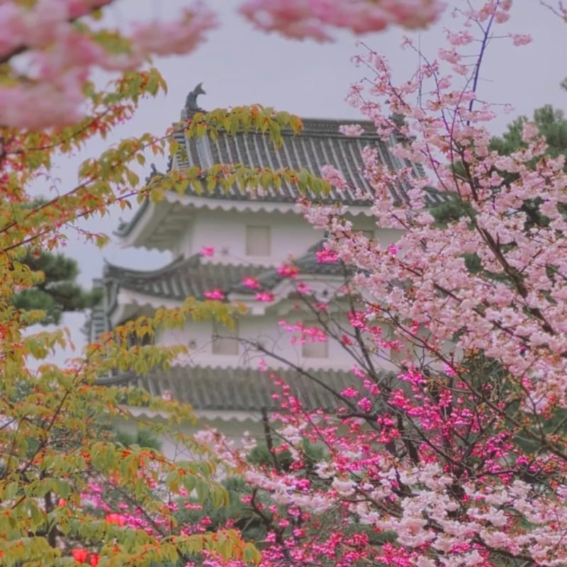 Modello giapponese in miniatura - Castello di Takamatsu