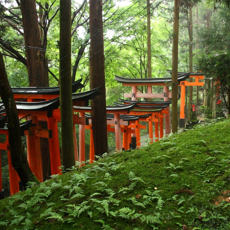 Modello giapponese in miniatura - Santuario Fushimi Inari