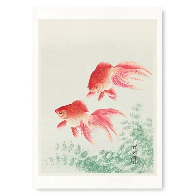 Stampa pesce rosso giapponese - A3