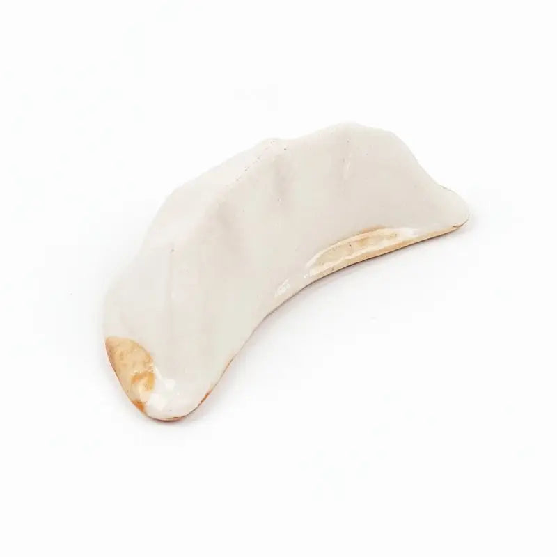 Gyoza giapponese con bacchetta