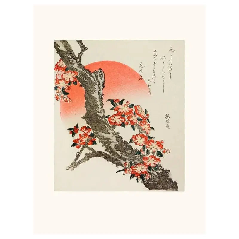 Poster con fiori di ciliegio giapponesi - A3
