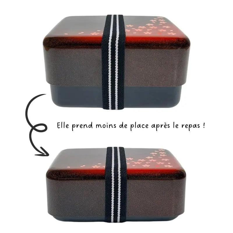 Scatola bento giapponese Blossom