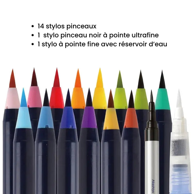 Set di penna e pennello per acquerello