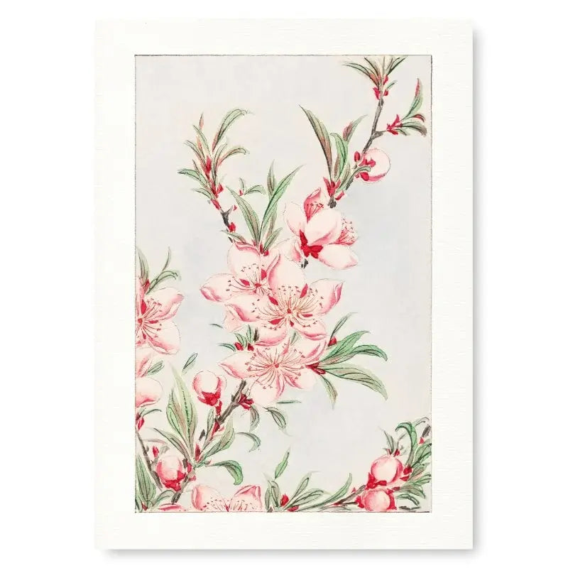 Stampa giapponese dei fiori di pesco - A3