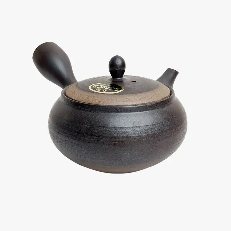 Teiera giapponese Kyusu Tokoname