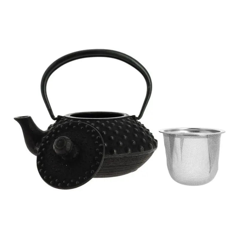 Teiera giapponese in ghisa nera Iwachu 350 ml