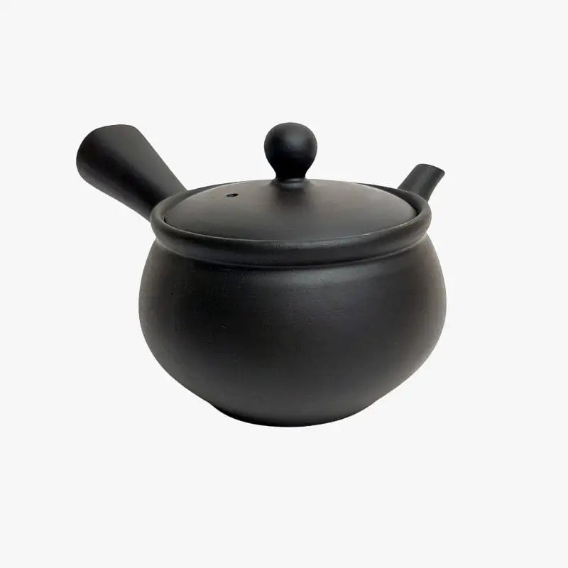 Teiera nera giapponese Kyusu