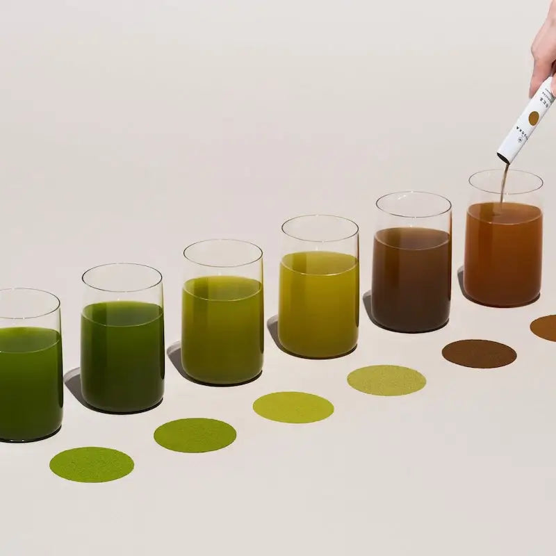Assortimento di 6 tè giapponesi
