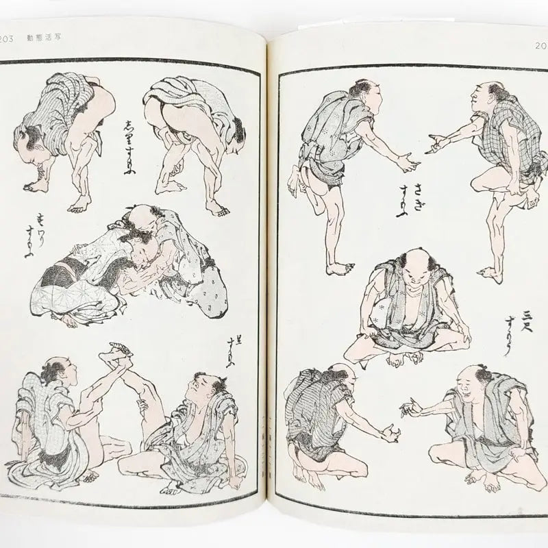 Cofanetto di libri d'arte manga di Hokusai