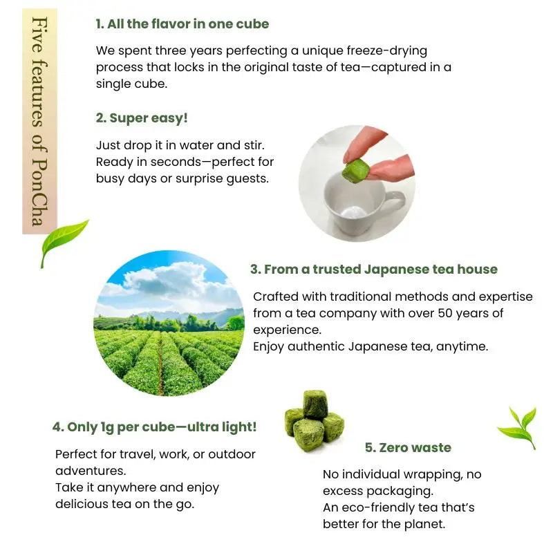 Cubetti di Tè Verde PonCha