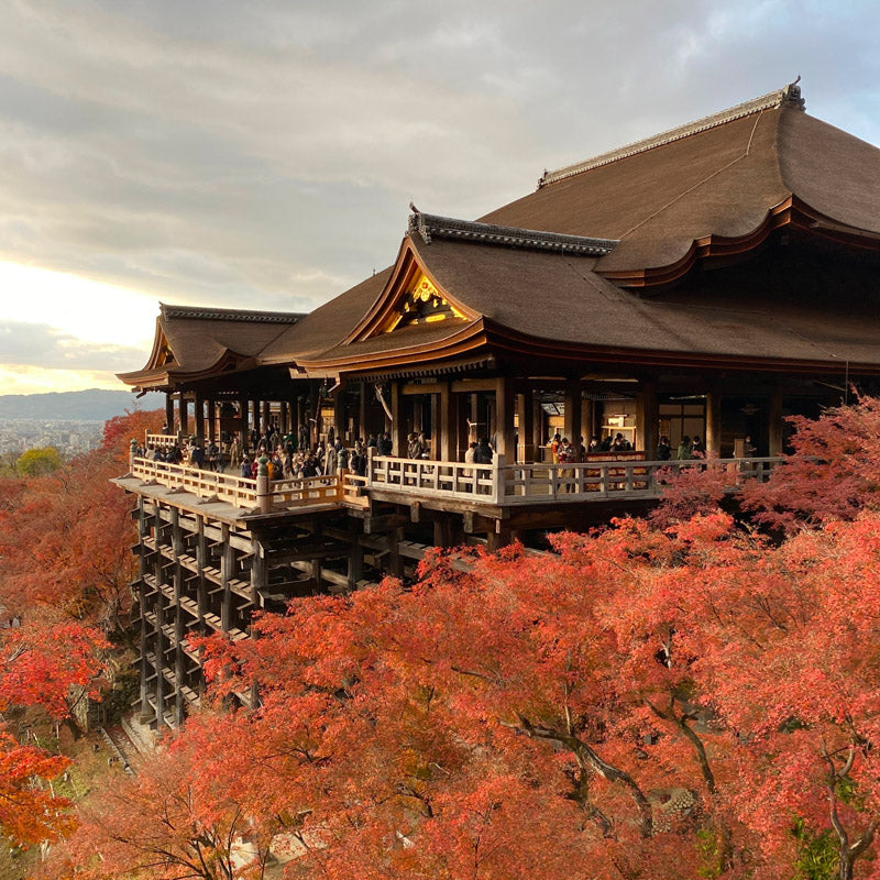 Modello Giapponese In Miniatura - Tempio Kiyomizu-dera