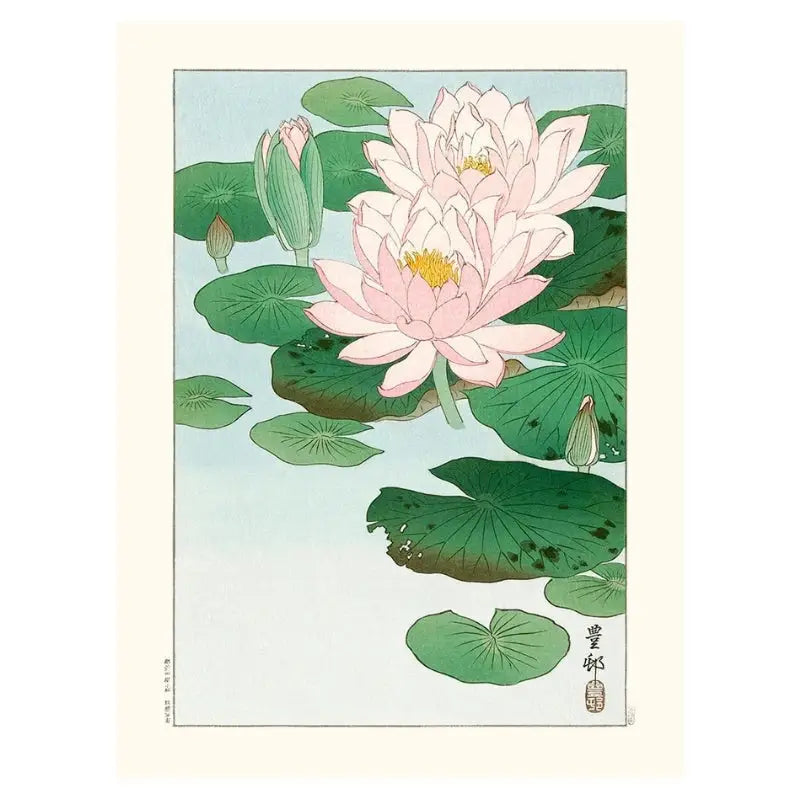 Poster con stampa di ninfee - 30 x 40 cm