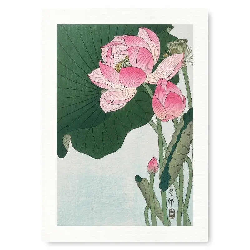 Stampa del fiore di loto giapponese - A3