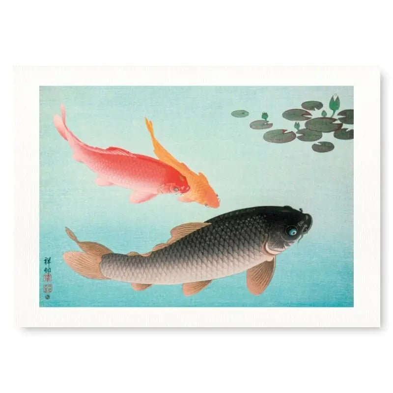 Stampa carpa giapponese - A3