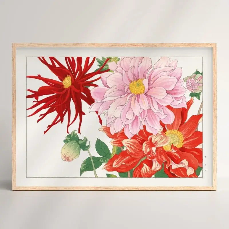 Stampa di fiori di dalia giapponese - A3