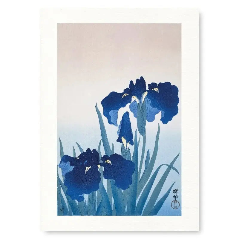 Stampa giapponese Iris blu - A3