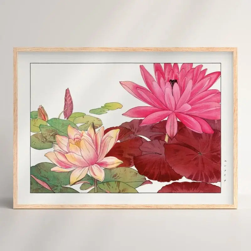 Stampa giapponese Nymphaea Lotus - A3