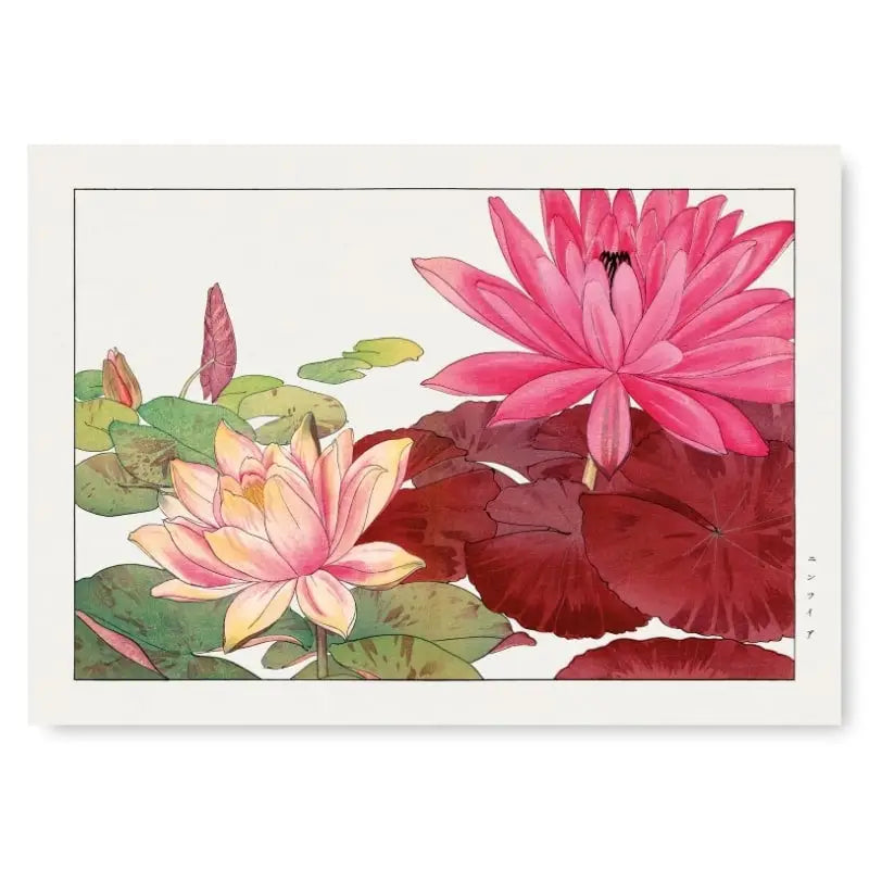 Stampa giapponese Nymphaea Lotus - A3