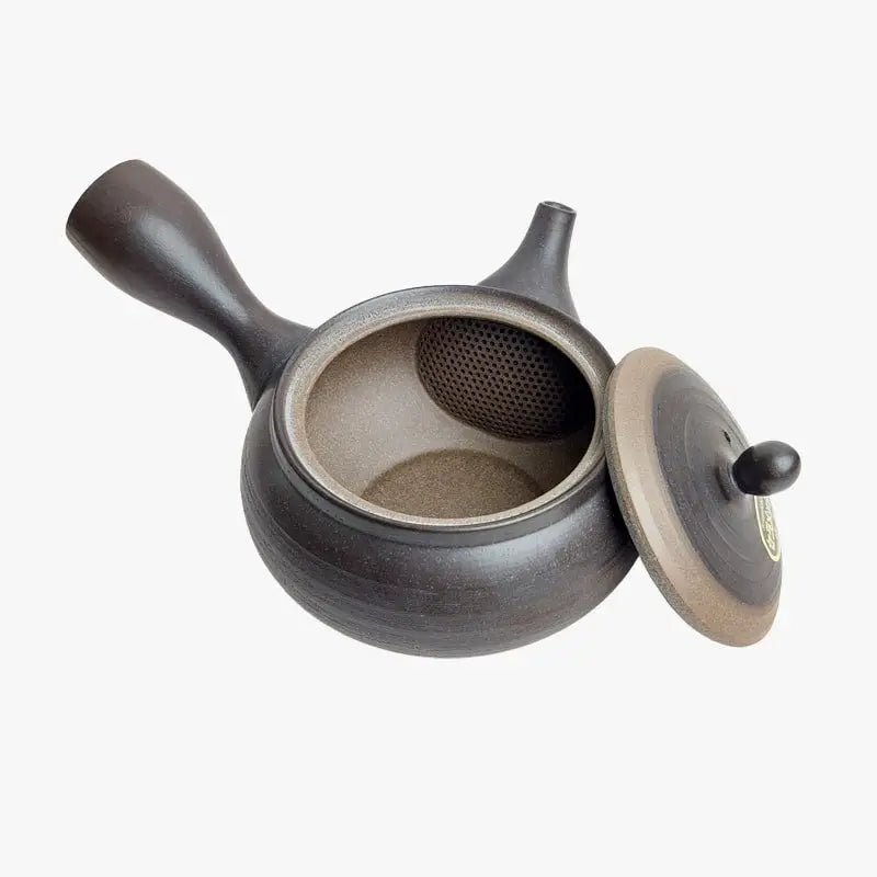 Teiera giapponese Kyusu Tokoname