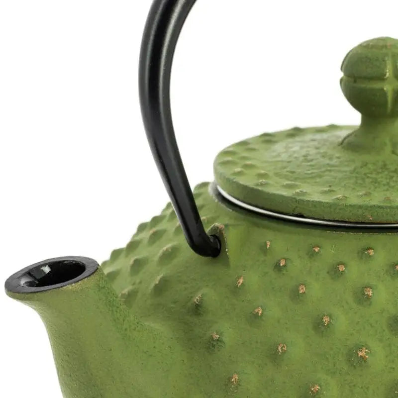 Teiera giapponese Iwachu verde in ghisa da 350 ml
